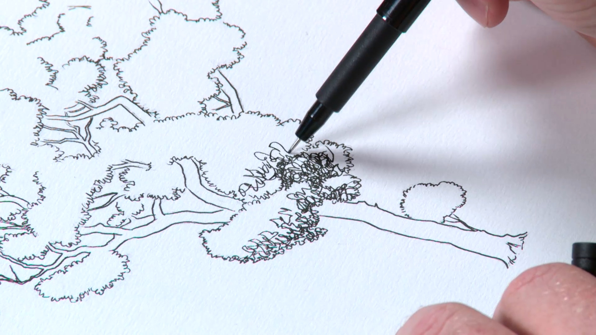 Improve Your Drawing Skills With Our Free Drawing Tutorials for Artists
