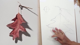 The Leaf: Contour