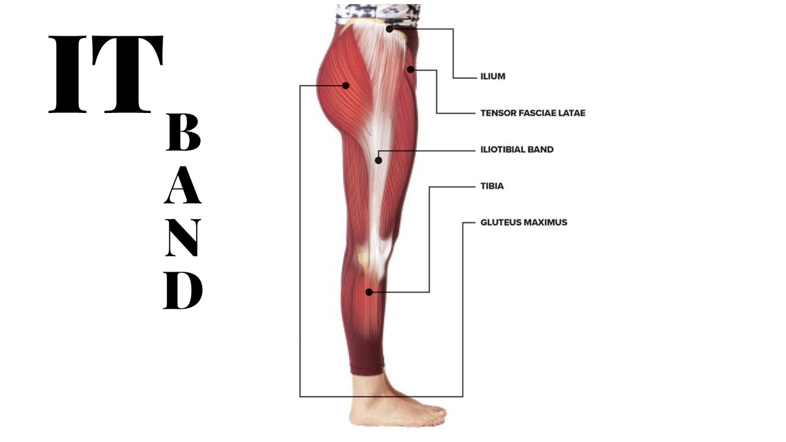 IT Band Foam Roller  National Bowling Academy