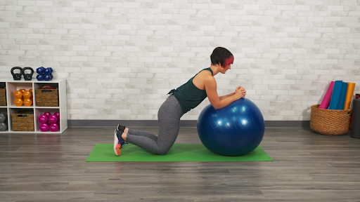 Plank with Physioball 1
