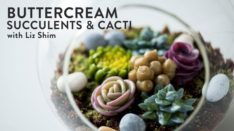 Buttercream Succulents & Cacti