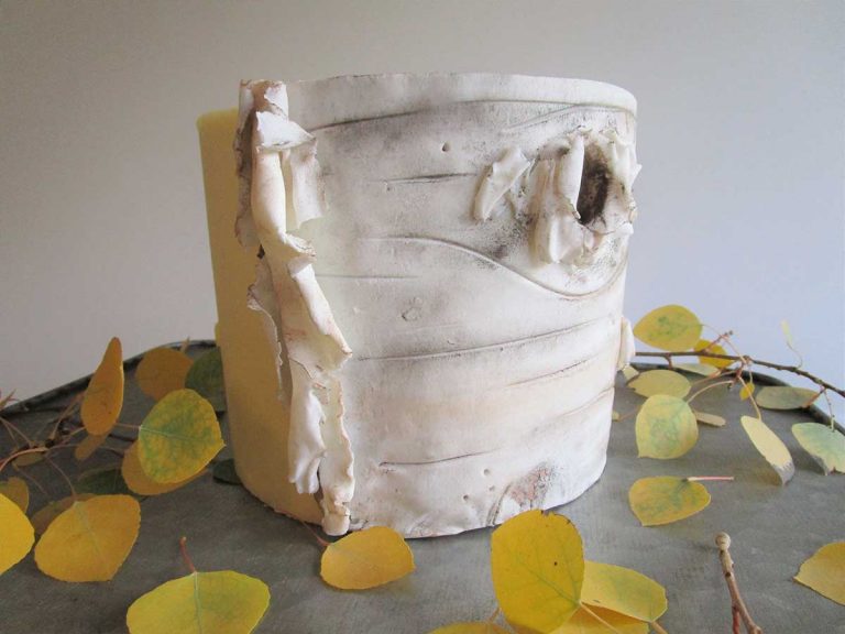 Birch Bark Cakearticle featured image thumbnail.
