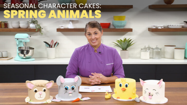 Seasonal Character Cakes- Spring Animalsproduct featured image thumbnail.