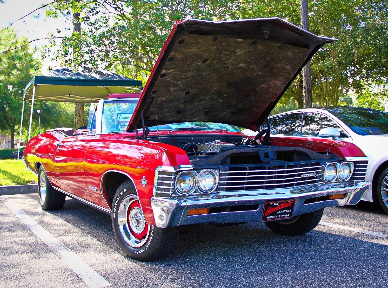 1967 Chevrolet Impala Ss Convertible Classic Car Restoration Club