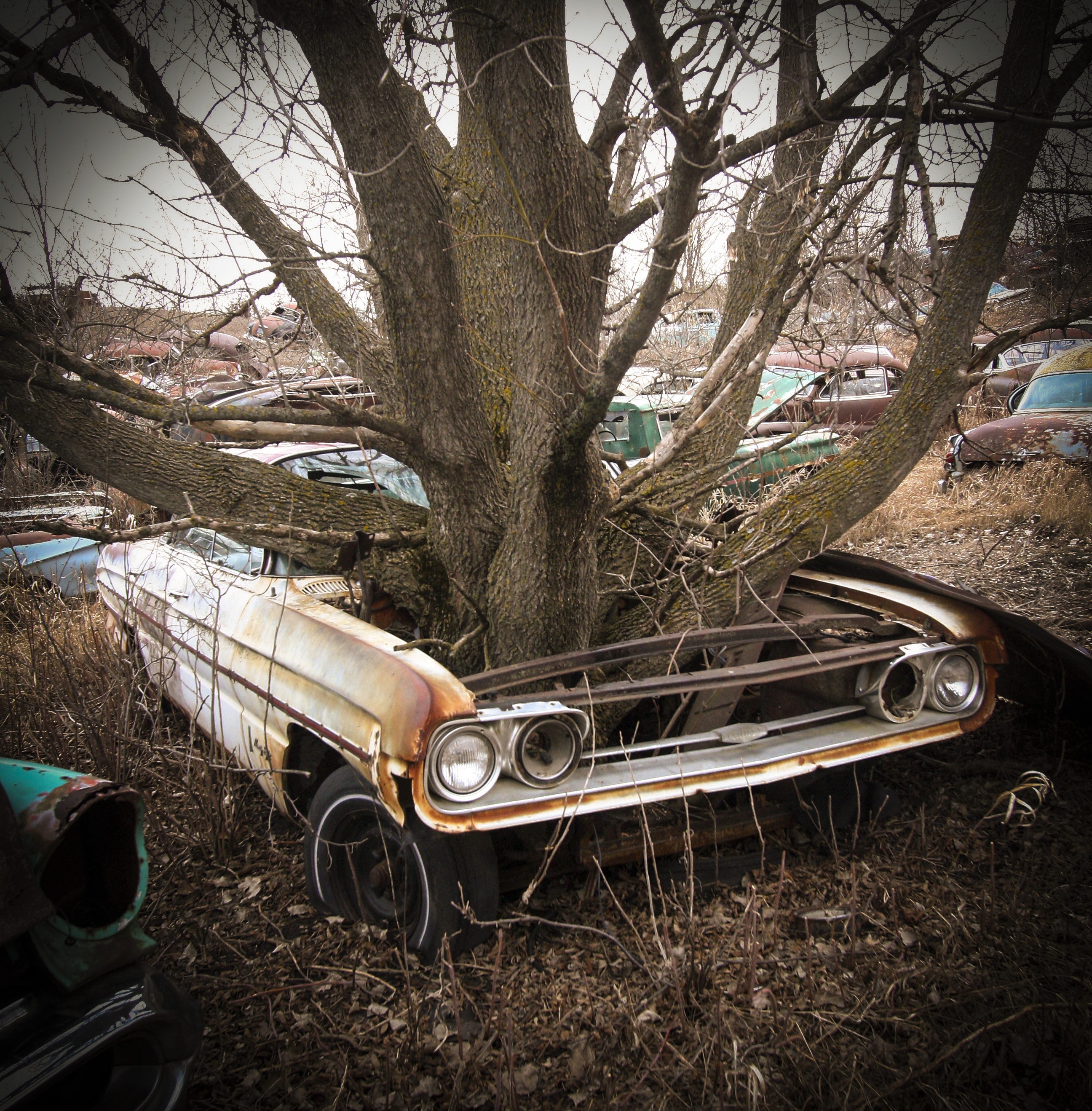 rusty old car