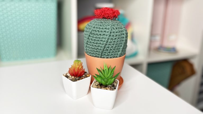 Crochet Cactus | GOLD Exclusiveproduct featured image thumbnail.