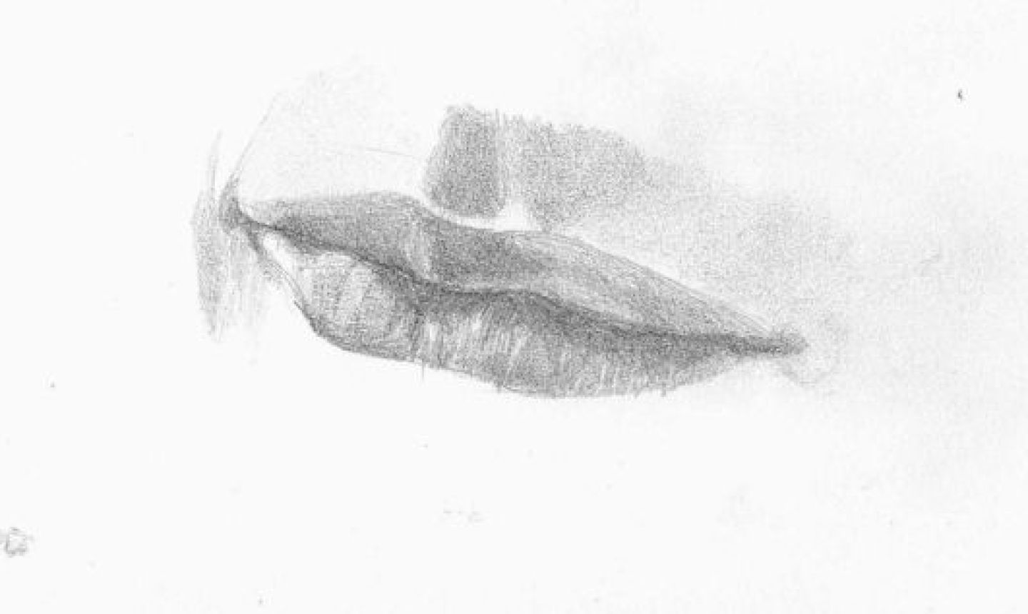 How to draw lips step by step - Gathered