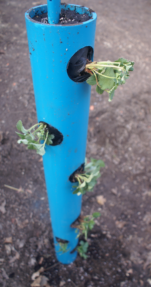 Vertical Garden System How To Make A Vertical Garden Planter Craftsy