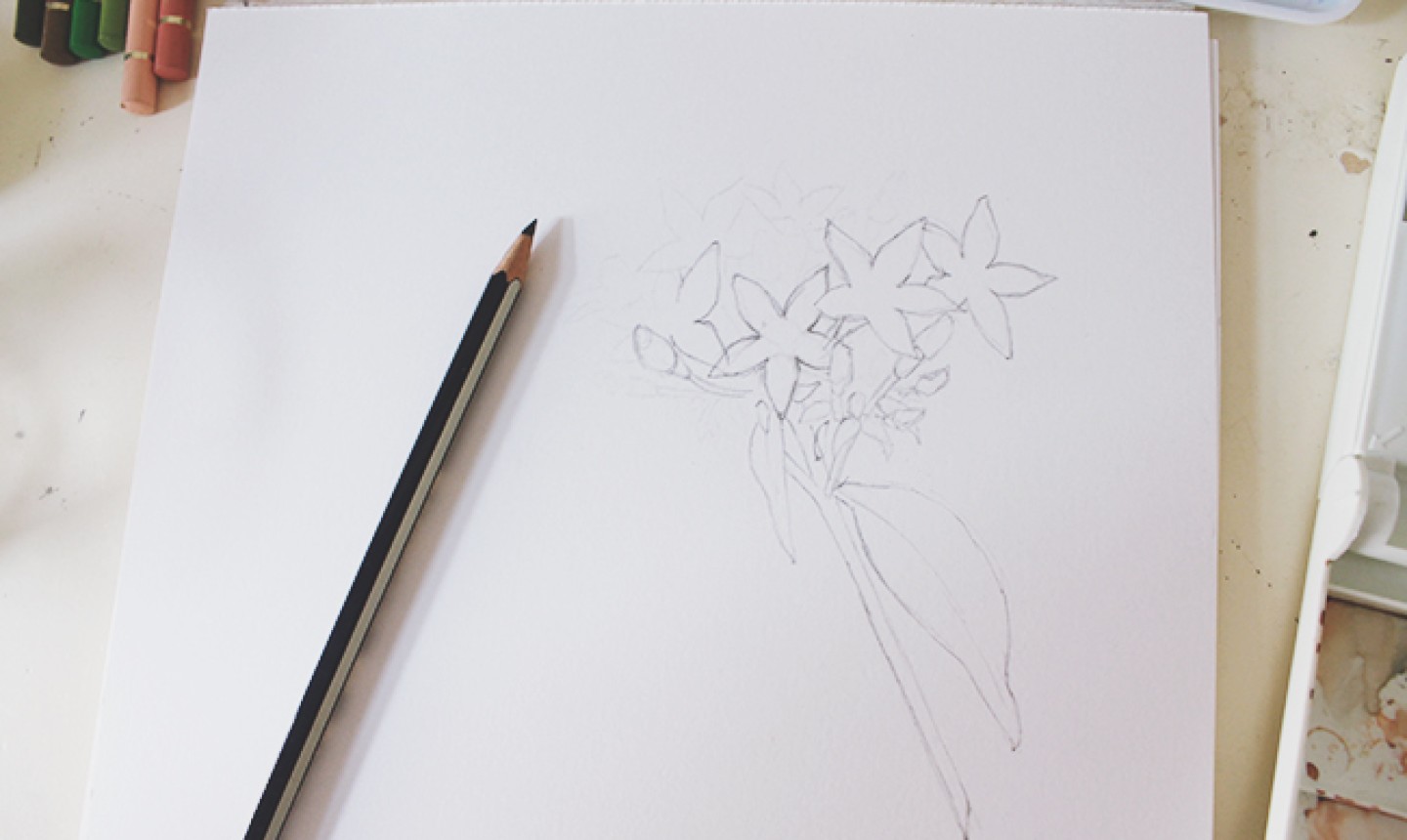 sketching flowers