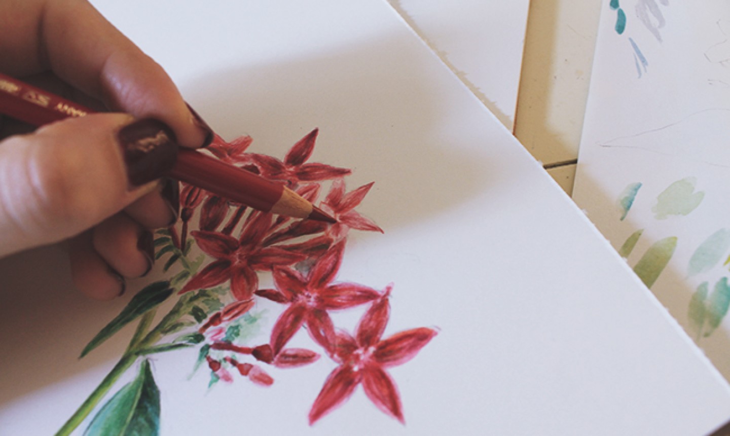 colored pencil flowers