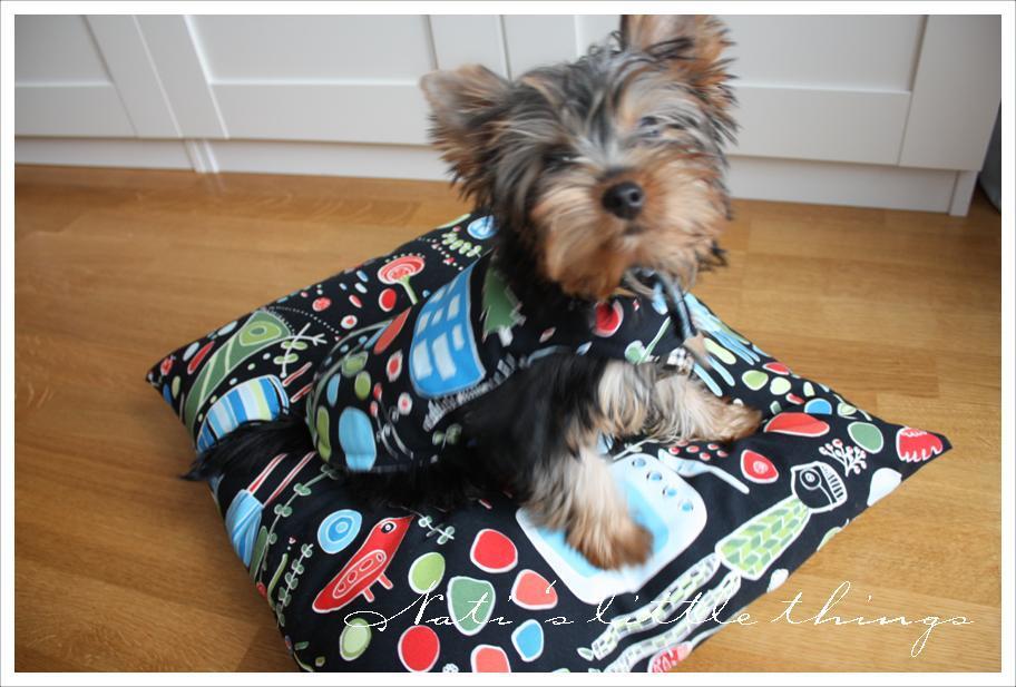 free sewing pattern for small dog carrier