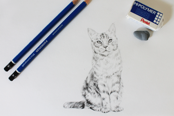 15 Easy Cat Drawing Ideas and Tutorials for Everyone - Beautiful Dawn  Designs | Cats art drawing, Realistic cat drawing, Pencil drawings of  animals