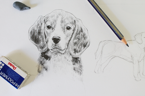 Drawing Realistic Animals How To Draw A Dog Craftsy