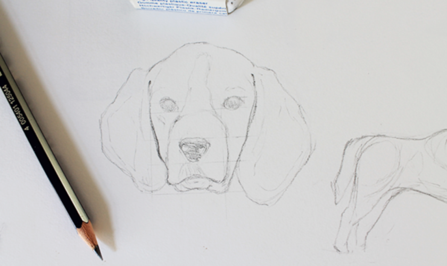 How To Draw a DOG | YELLOW LAB Sketch Tutorial - YouTube