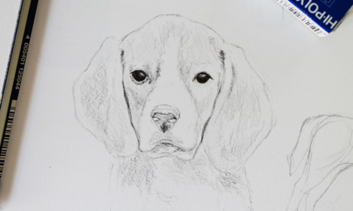 Dog Sketch Artwork Design.Dog sketch - PhotoArt - Drawings & Illustration,  Animals, Birds, & Fish, Dogs & Puppies, Other Dogs & Puppies - ArtPal