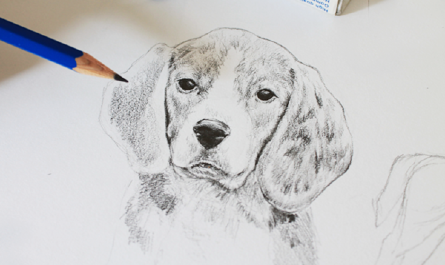 Bad Pet Drawings By Dad Go Viral And Now He's Selling Them For Charity