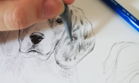 Drawing Realistic Animals: How To Draw A Dog 