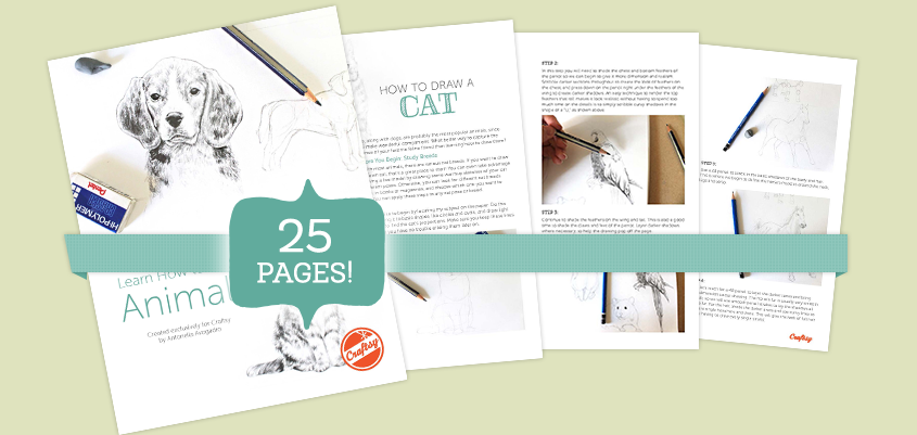 Tutorials For Drawing Realistic Animals In Our Free Eguide Craftsy