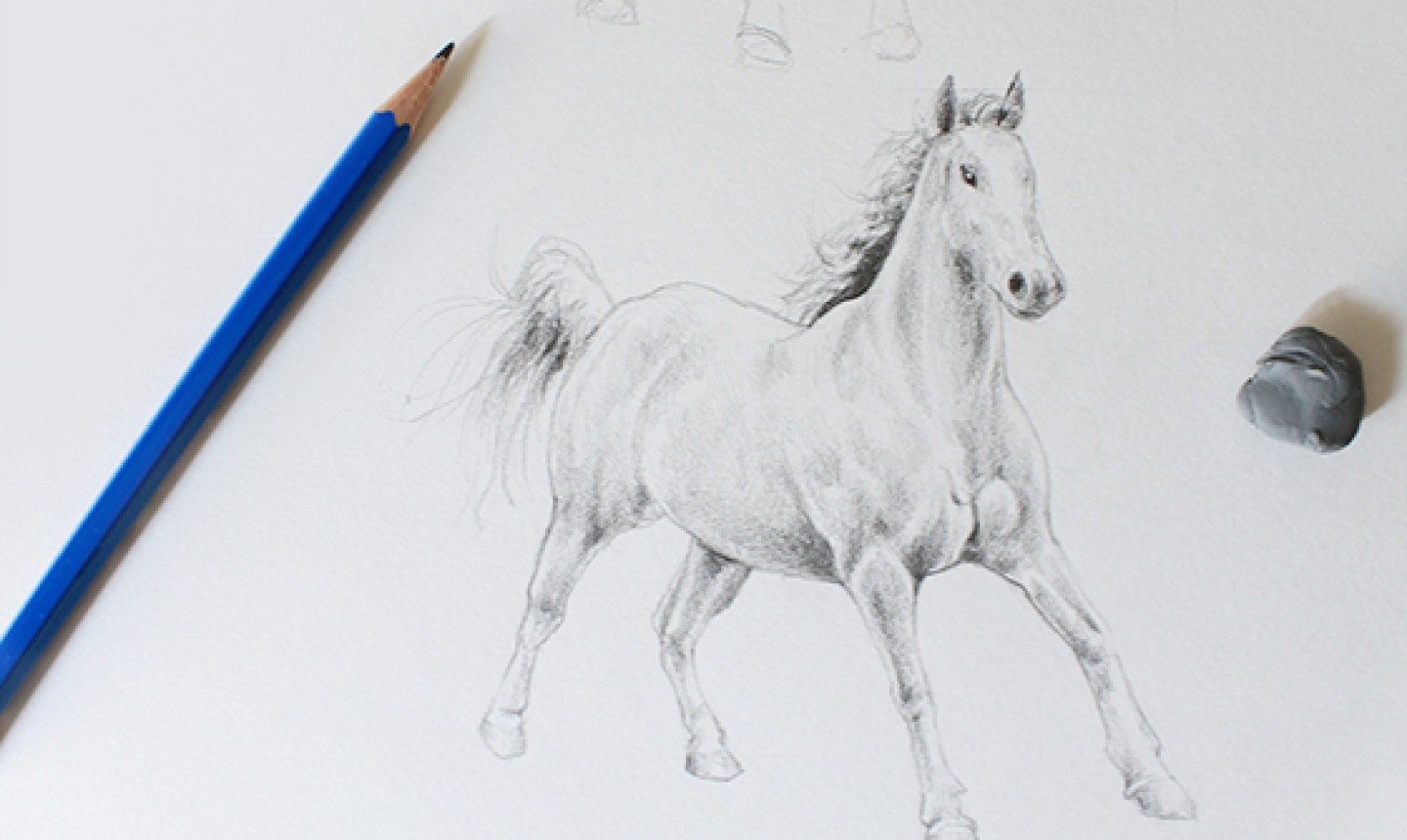 horse drawing in pencil