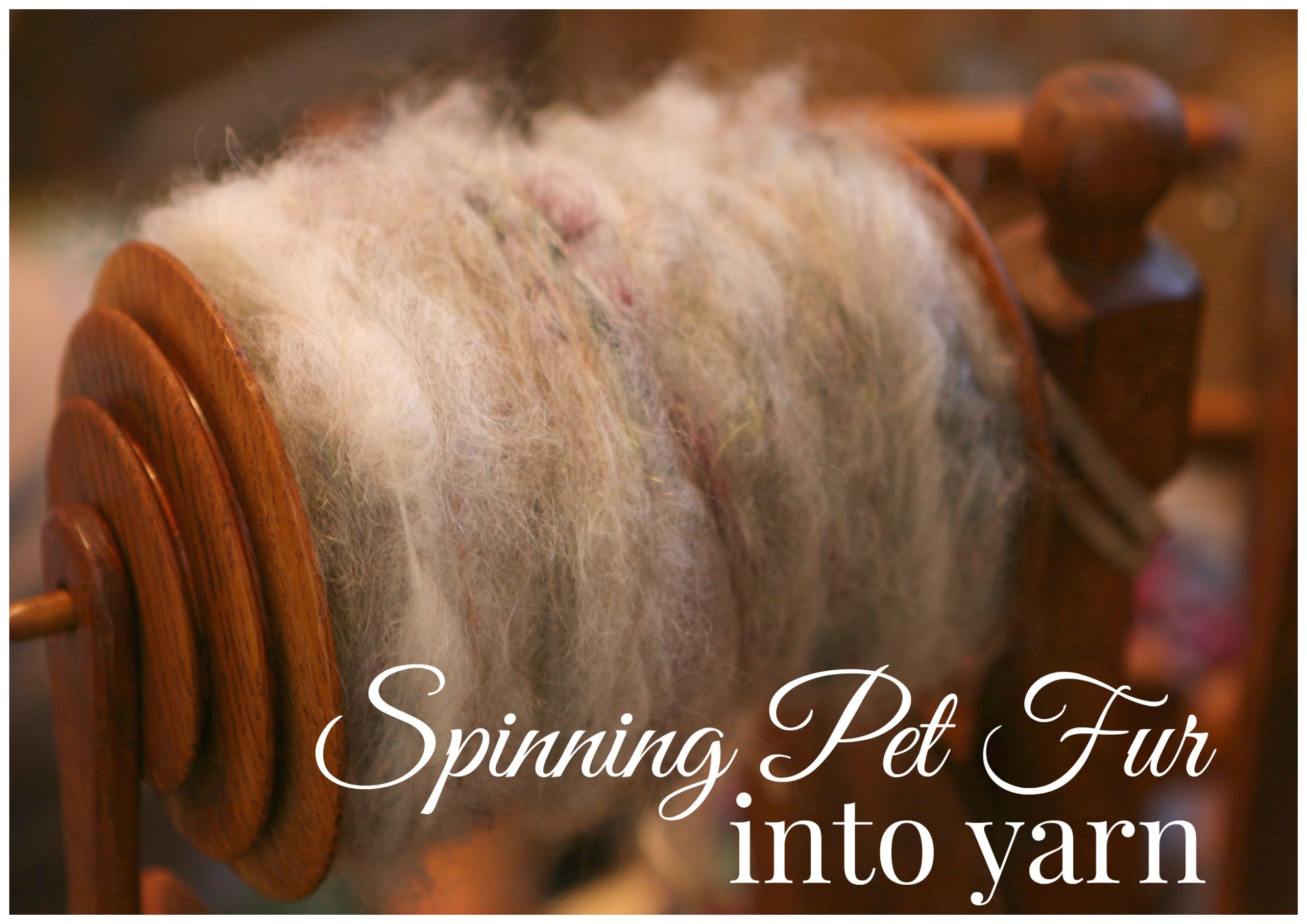 How to Spin Pet Fur Into Yarn | Craftsy