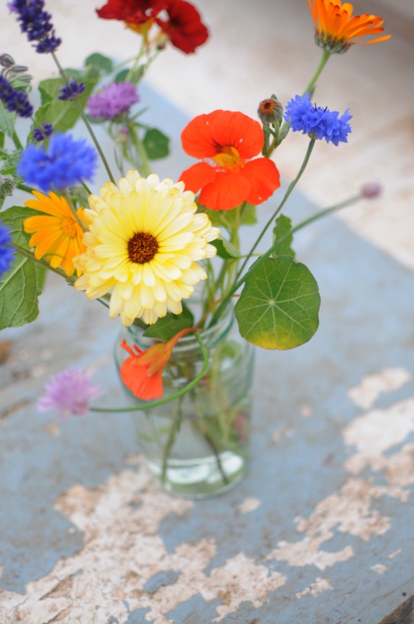 edible flowers