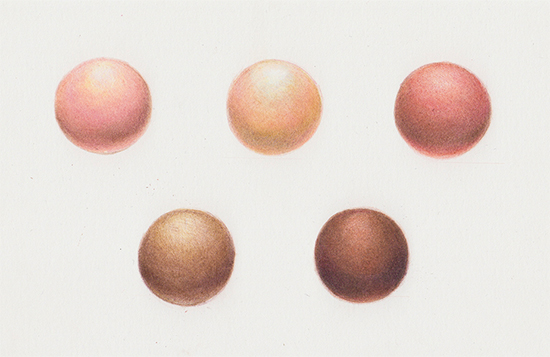 Creating Skin Tones With Colored Pencils