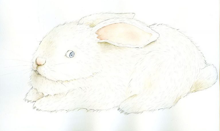 painted white rabbit