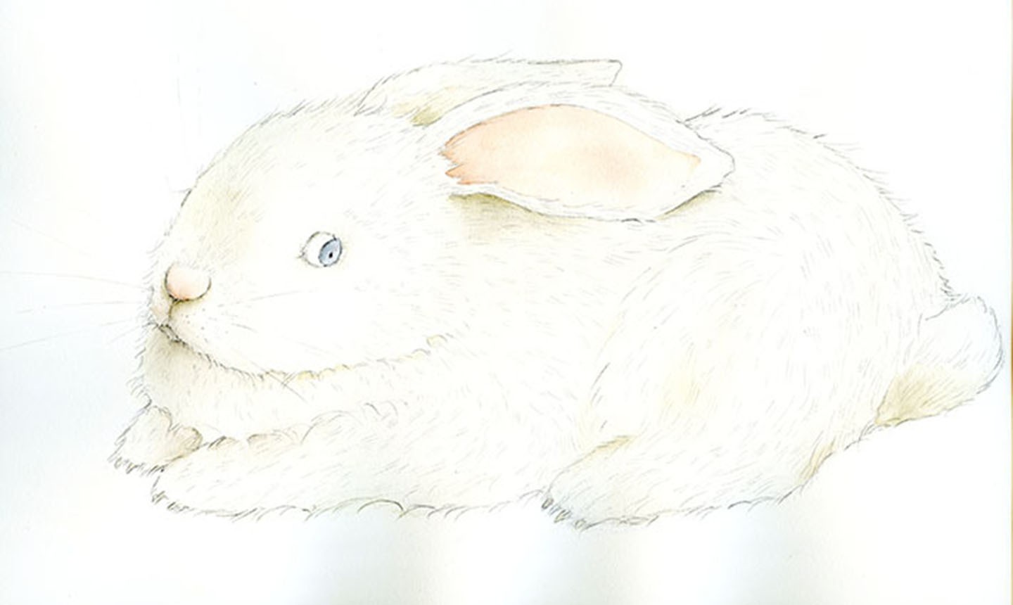 Learn How to Paint a Beautiful Bunny