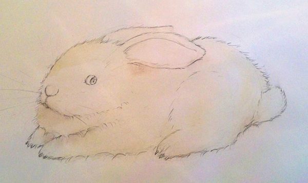 Learn How to Paint a Beautiful Bunny | Craftsy