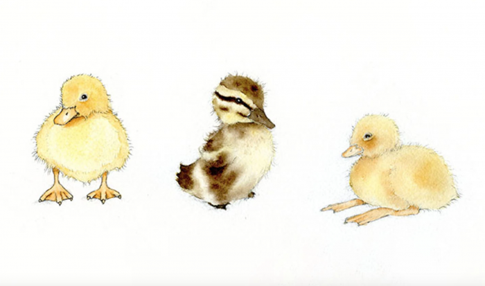 Adorable Art: Learn How to Draw and Paint a Duckling | Craftsy