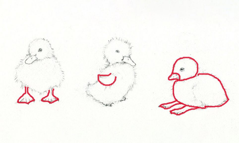 Adorable Art Learn How to Draw and Paint a Duckling Craftsy