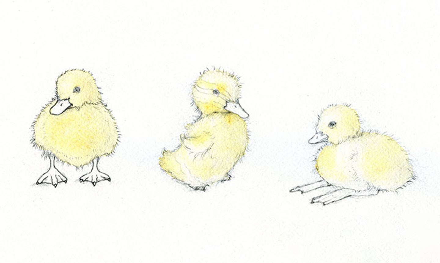 duckling watercolor wash