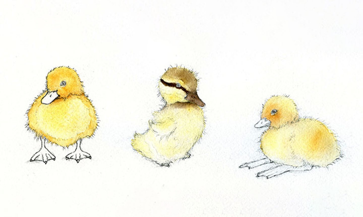 shading watercolor ducklings