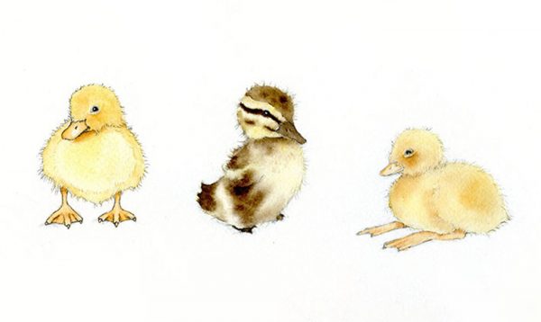 Adorable Art: Learn How to Draw and Paint a Duckling | Craftsy