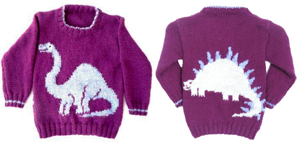 Stegosaurus sweater sale