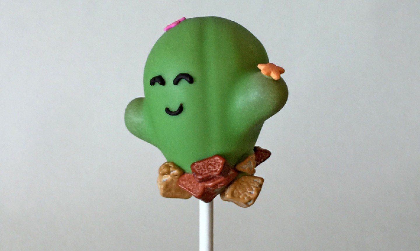 finished cactus cake pop