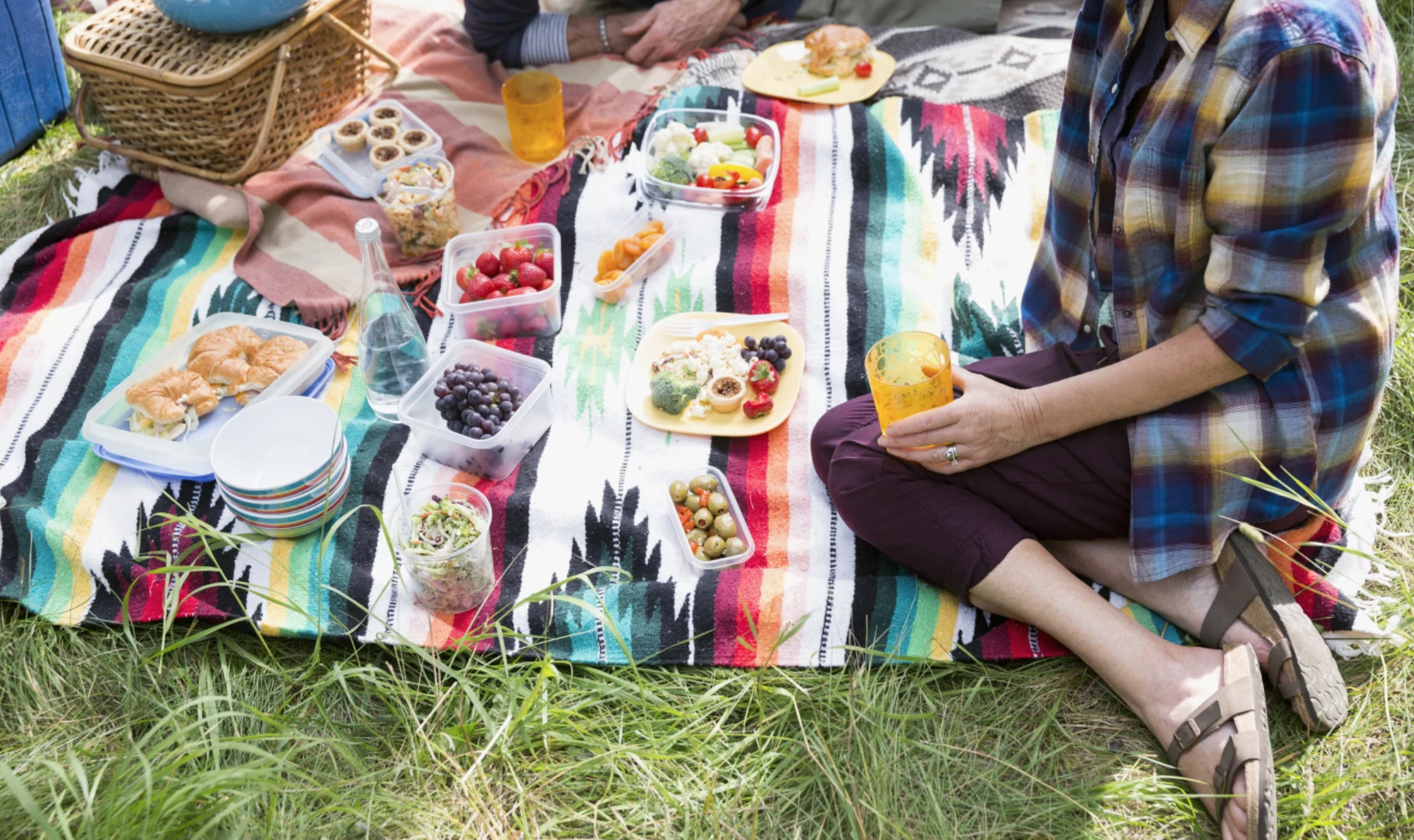 potluck picnic