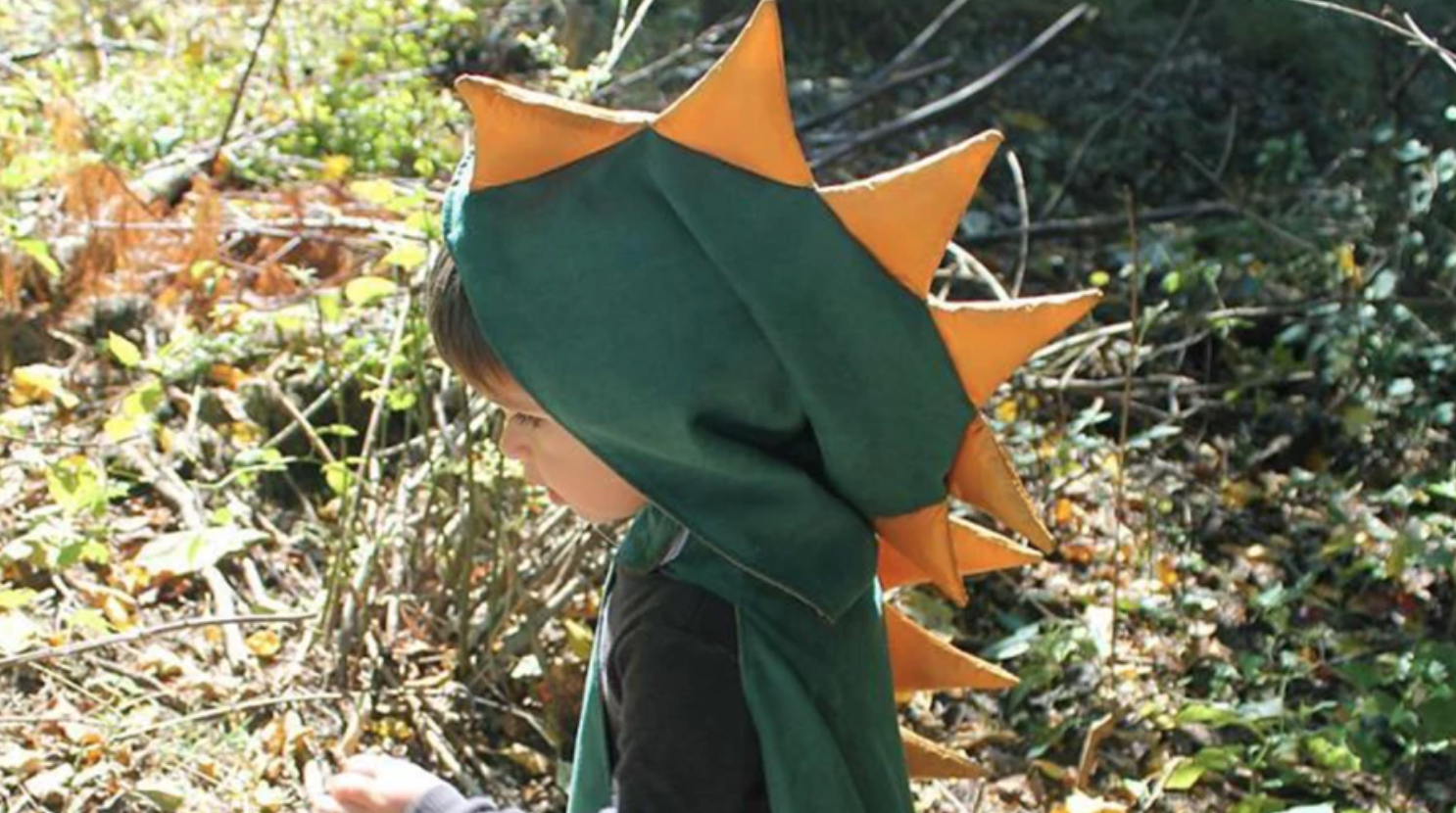 child wearing dinosaur cape