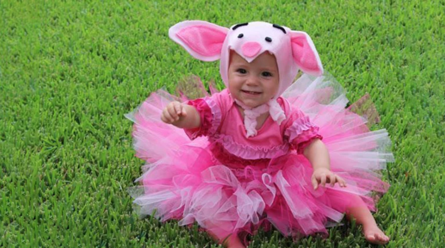 toddler in a pig costume