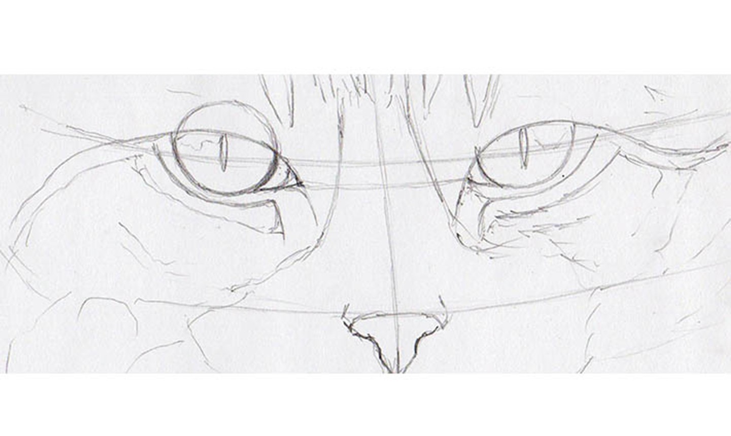 sketch of cat eyes