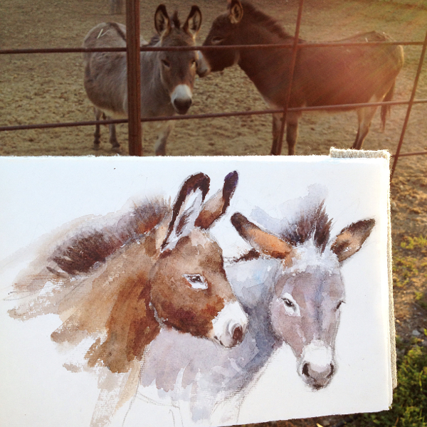 donkey watercolor sketch