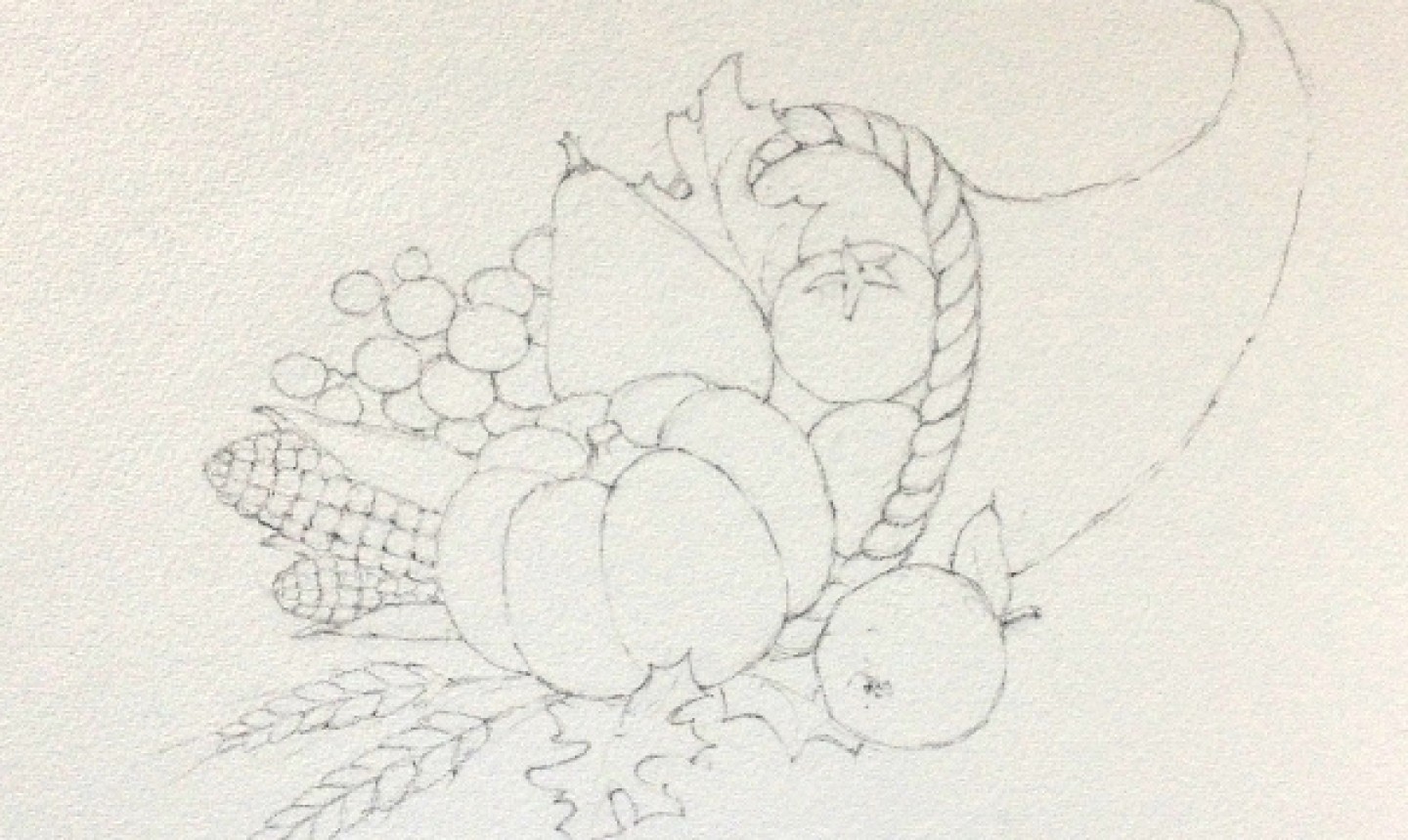 Cornucopia sketch