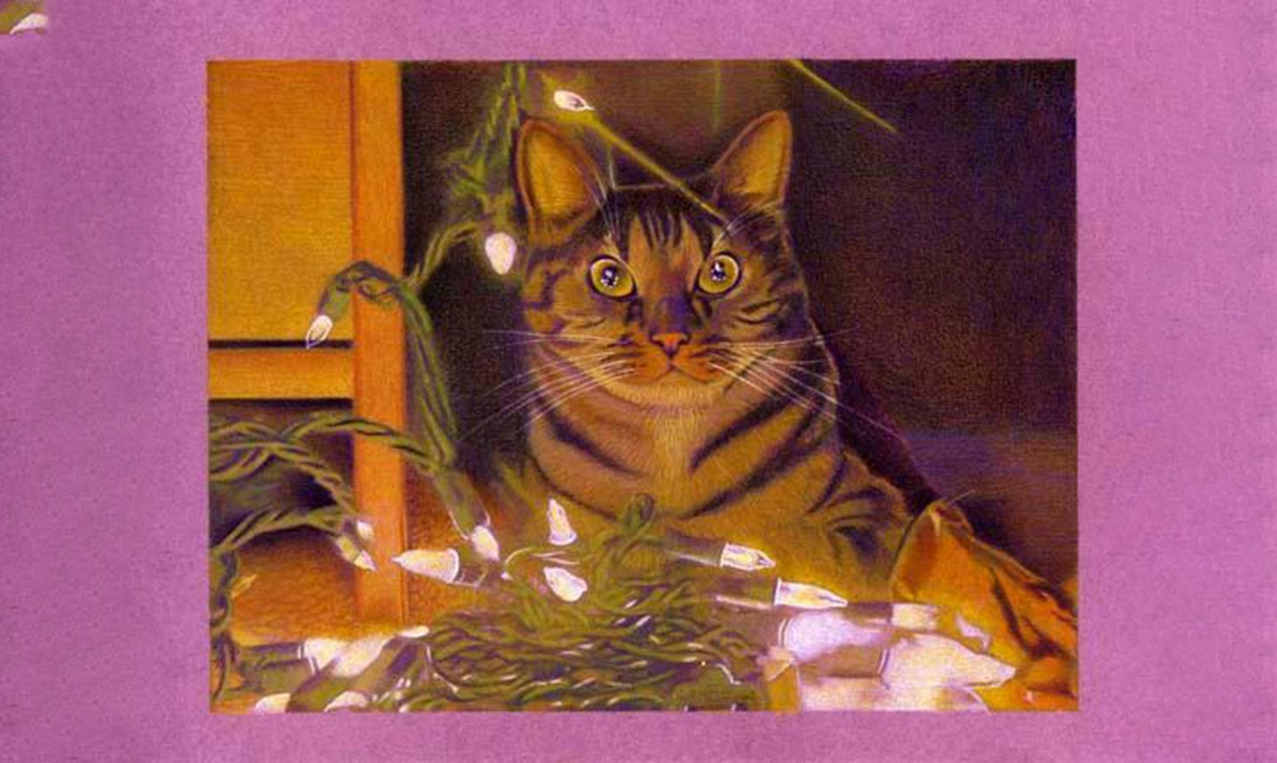 cat with holiday lights drawing