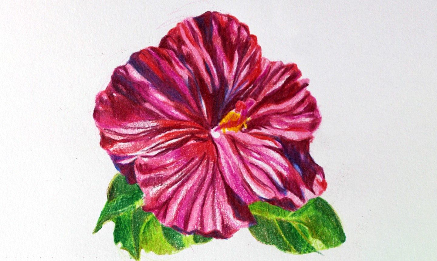 Artistic Blog - learn how to draw with colored pencils: How to draw flowers  with colored pencils - a step by step tutorial