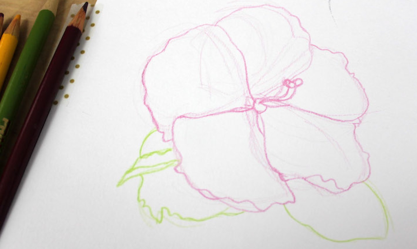 Artistic Blog - learn how to draw with colored pencils: How to draw flowers  with colored pencils - a step by step tutorial