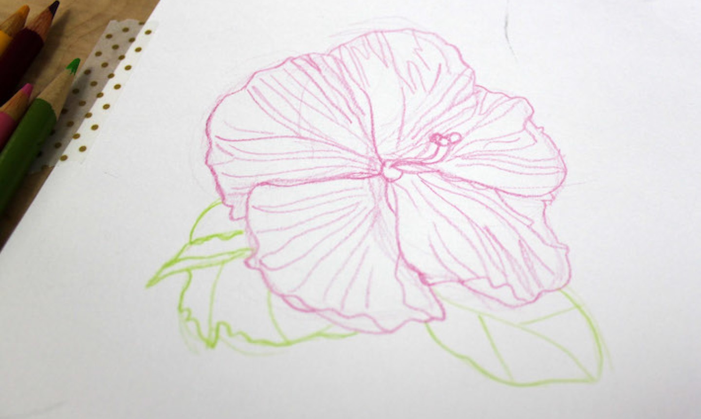 flowers drawings in pencil