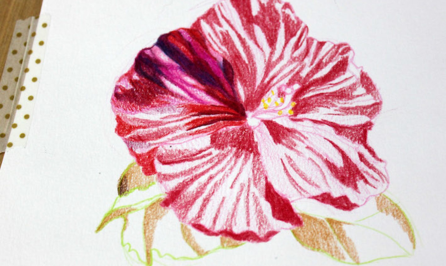 How To Draw A Flower-Color Pencil Drawing - YouTube