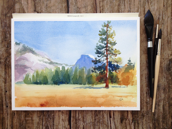 watercolor sketches