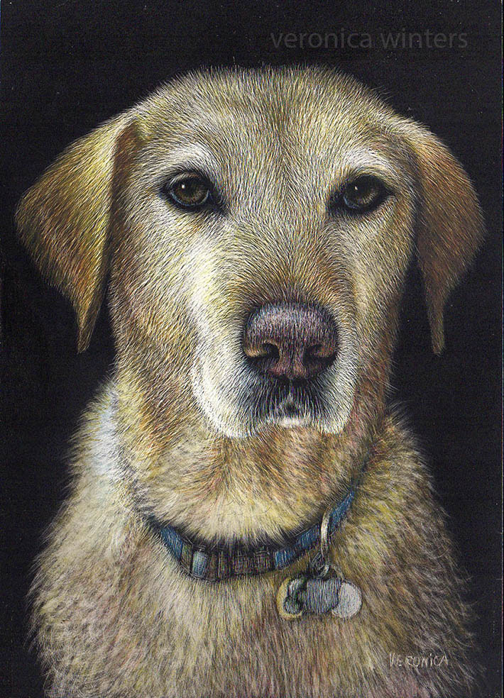 Featured image of post Labrador Retriever Realistic Easy Cute Dog Drawing - Cute easy drawings cute animal drawings drawing animals animal sketches easy how to draw animals drawing skills drawing techniques manga drawing sketch drawing.