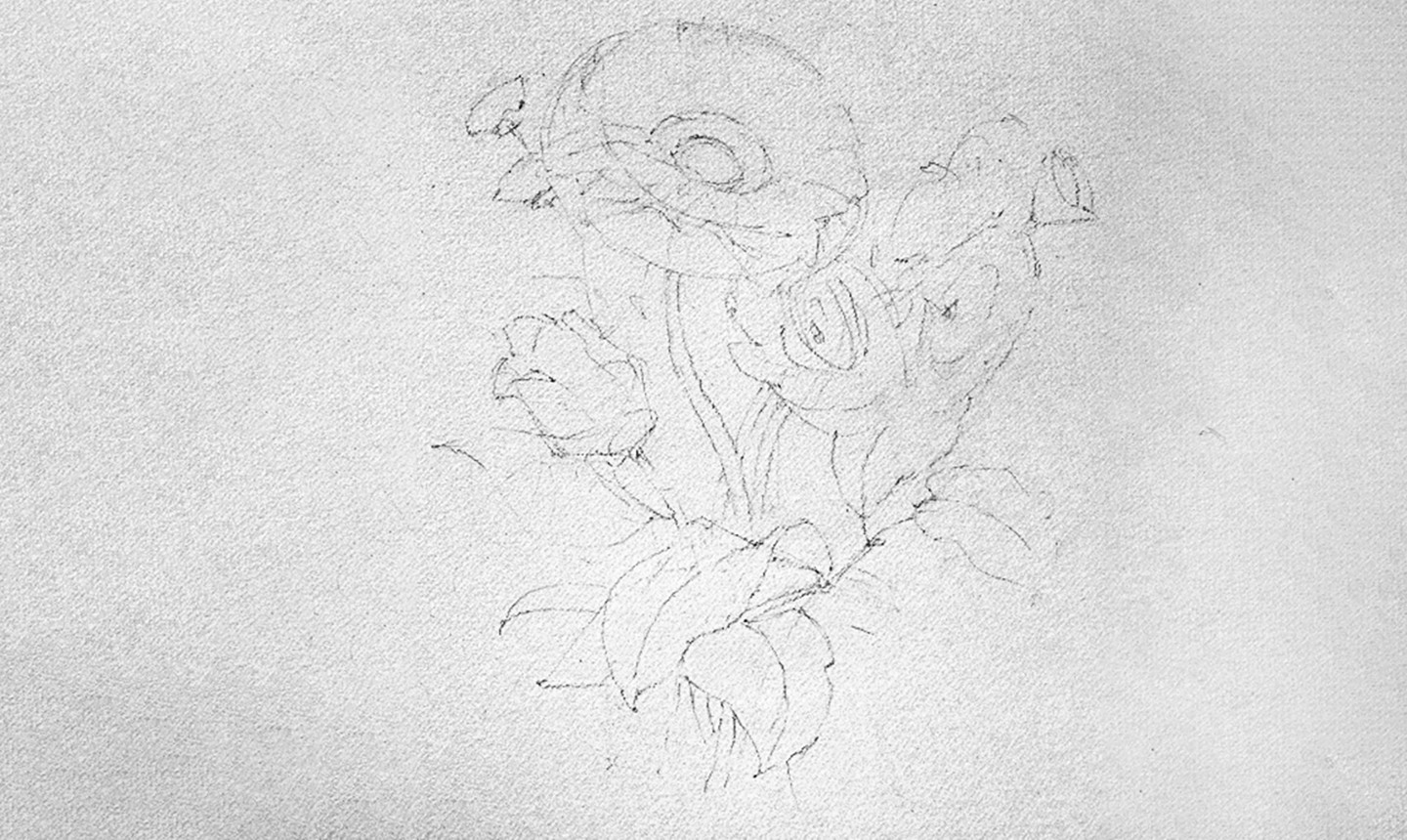 sketching bouquet